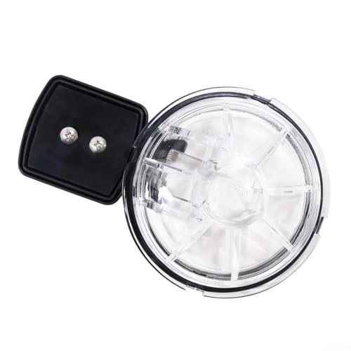 Clapet anti-retour de piscine compact contre le reflux d'eau