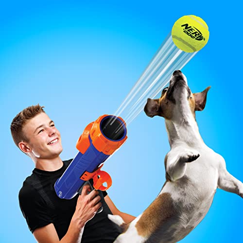 Nerf Dog Blaster de 30,5 cm sem clipe de bola 3 bolas de tênis de 5 cm – azul opaco/laranja/cinza e