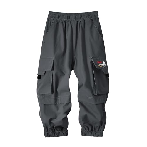 Image of Volunboy Toddler Boys Cargo Pants with Dino Embroidery - Quick-Dry Pull On Elastic Waist Joggers for Ages 2-6(Tag Size 120,4-5 Years, Dark Grey)