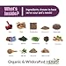 AMBER NATURALZ Radox Blood Support Herbal Blend for Dogs, Cats, Birds, Guinea Pigs, and Rabbits | Herbal Pet Supplement for Circulation and Iron | 1 Fluid Ounce Glass Bottle | Manufactured in The USA