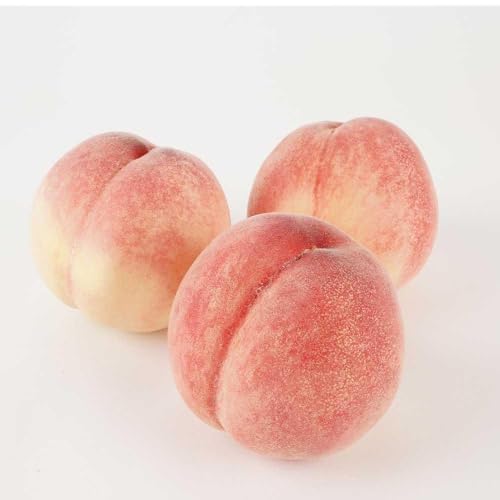 [先行予約][モモ] 白鳳 桃の王様!食べきりやすい3個入り[秀品]こだわり農家厳選 [KG17]