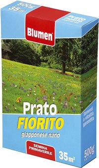 Blumen Semi Prato Fiorito Giapponese Nano 500gr