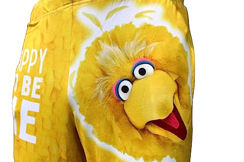 Image of BRIEF INSANITY Sesame Street Character Pajama Pants for Men & Women - Soft Loose-Fit Lounge Bottoms with Side Pockets