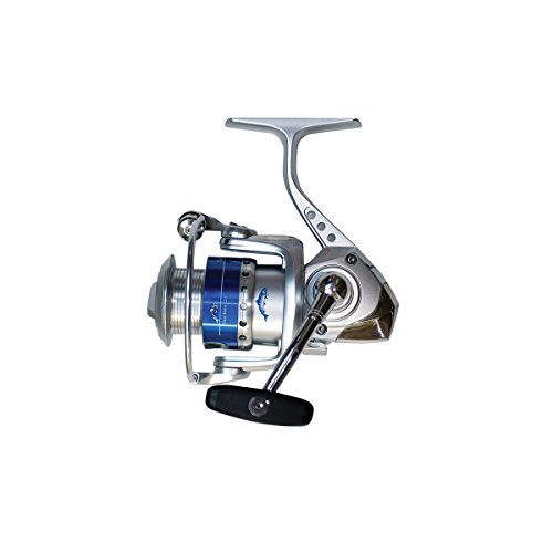 Wright Mcgill Sabalos Spinning Reel Buy Online In Bahamas At Desertcart