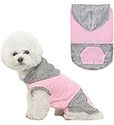 FATCOOLGOO Dog Hoodies with Cationic Fabric, Fall Breathable Soft Dog Sweatshirt, Autumn Warm Pet...