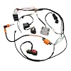 PRO BAT ATV Electric Wiring Harness Wire for Chinese Taotao Zongshen Loncin 150cc 200cc 250cc 4-Stroke Engine Pit Dirt Bike