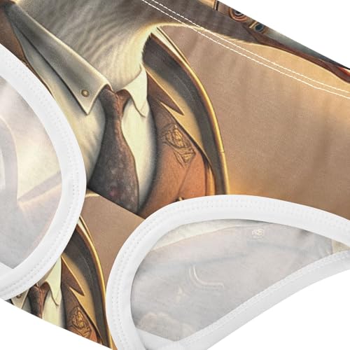 Toddler Underwear Custom 2t Cotton Panties Little Girl Flower Kids Briefs Undies Funny Geese4