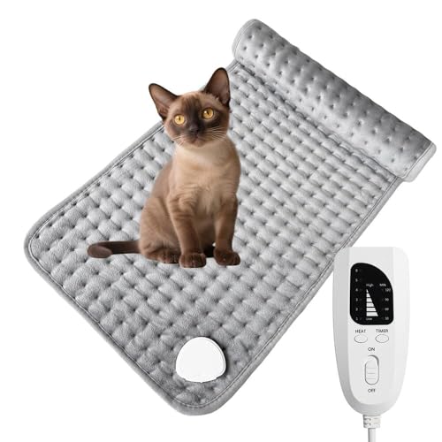 Lifetips o[~[Y Burmese ybgpzbgJ[ybg Lp g x h 􂦂 ȃGl ~ ~p ybgq[^[ xbhp ` ybgpzbgJ[ybg ybgq[^[ x 􂦂h ~ (60x30