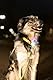 Beeztees Safety Gear Parinca Premium, Hundehalsband, LED, Nylon -
