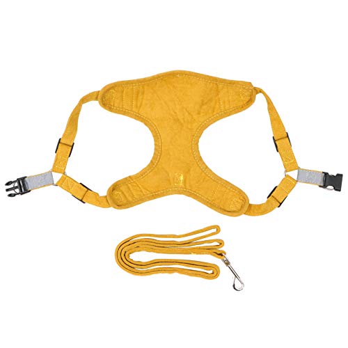 VILLCASE Conjunto de Arnês de 2 Peças para Filhotes de Gatos Com Coleiras à Prova de Fuga Colete de