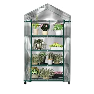 4 Tier Mini Greenhouse – Portable Greenhouse with Locking Wheels and PVC Cover for Indoor or Outdoor Green House by Pure Garden