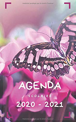 Télécharger Agenda Scolaire 2020 2021 Journalier: Papillon / Agenda insecte Papillon fleur/ 292 pages / collège Francais PDF