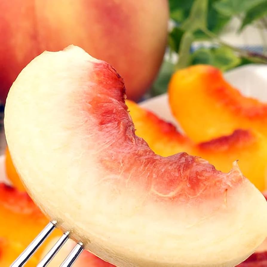 ⑥浅間黄金桃 なつっこ しっかりめ 山梨県産 桃 2箱 楽天市場】黄桃 2kgの通販