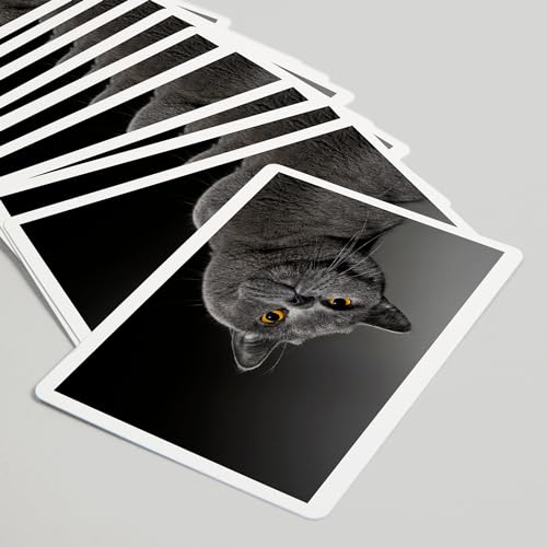 Mazo de cartas Poker British Shorthair Cat 52 piezas miniatura 5