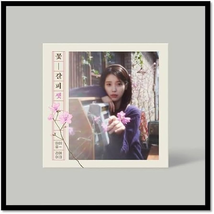 Amazon.com: IU KKOT-GALPI 3/꽃갈피 셋 EP Album CD+Photo Book+4 ID