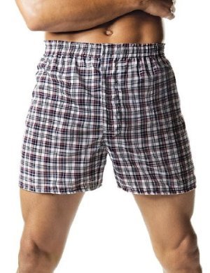HanesMens Red Label Tartan Boxer P 2, L-Tartan