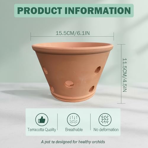 Pots d'orchidées en argile avec trous pour rempotage intérieur - 7