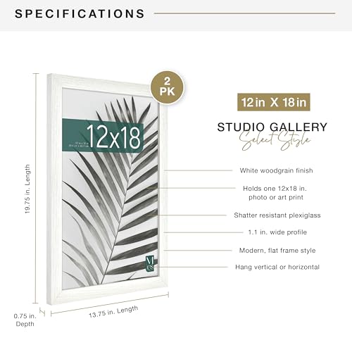 MCS Studio Gallery 12x18 Picture Frame White Woodgrain, Rectangle Photo Frame for Photos, Posters & Art Prints (2-Pack)