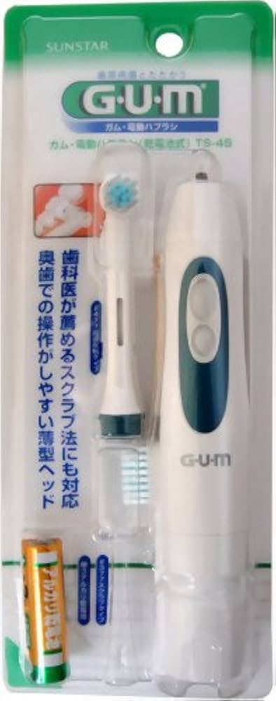 電動歯ブラシ 楽天市場】電動歯ブラシ 充電式 音波歯ブラシ 本体2本付 送料