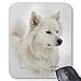 Produktbild American Eskimo Dog Gifts Mouse Pad 18×22 cm