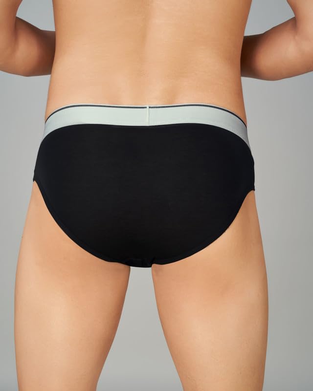 Image of TRENDMALLS Men's Birla Micromodal Regular Fit Solid Men Underwear Briefs with No Marks Waistband