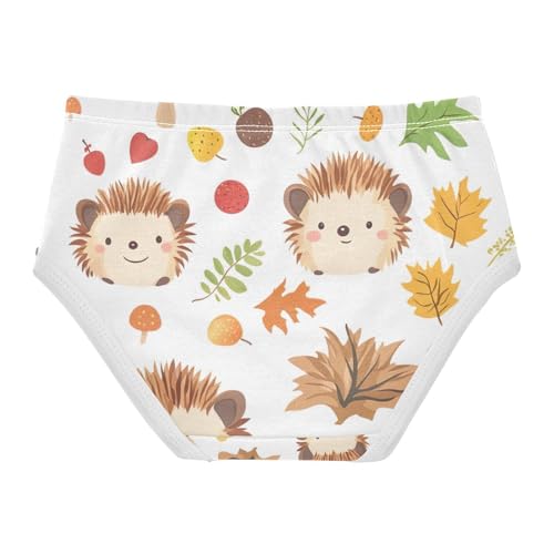 Girls' Underwear, Cute Hedgehogs White Toddler Panties, Girls' Cotton Brief Underwear, 2T–8 Years2