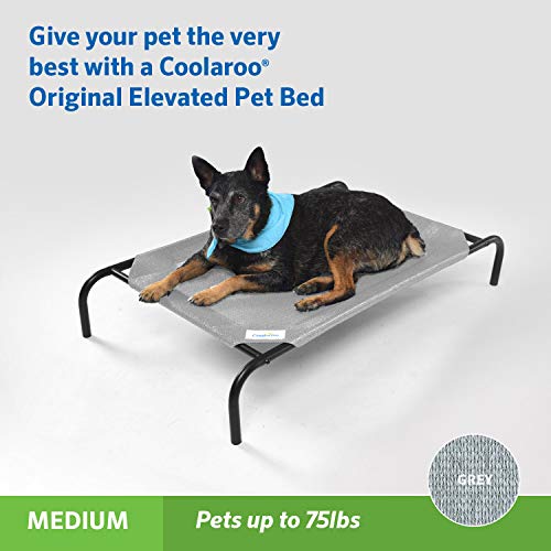 Coolaroo Original Elevated Dog Bed - Breathable Off-The-Ground Pet Bed with Cooling Fabric, Joint Relief & Moisture-Resistant Fabric, 100% Recyclable, Easy Clean, Grey, Medium - Image 3