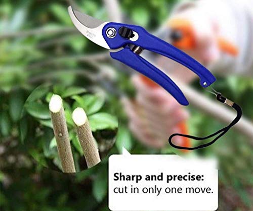 Image of Dinojames Tool Easily Punches Gardening Tool Set Stainless Steel Garden Pruner /Scissors, Pruning Seeds, Flower Cutter and Grass Cutter, 18cm (Multicolour)