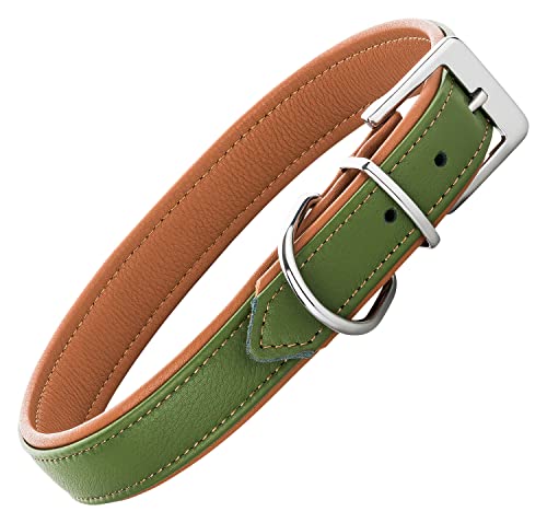 Schnüffelfreunde Lederhalsband Fun Line - Hundehalsband für den großen, mittleren und kleinen Hund - Halsband für Hunde aus Leder - gepolstert & robust (L - 36-45cm, Grün-Beige)