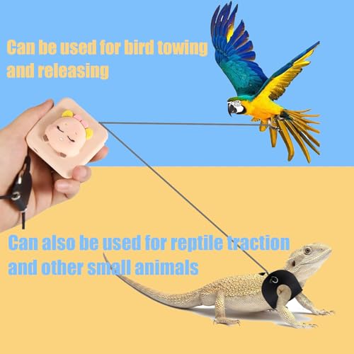 Image of Bird Leash Bird Traction Rope Parrot Flying Rope Adjustable Small Animal Walking Harness 20FT /236IN with 6 Different Sizes of Soft Foot Ring (20FT, White cat)