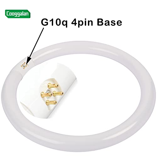 Cooggalan Fc12T9/Cw 32W Cool White Round Light Bulb, 12 Inch T9 32 Watt Circular Fluorescent Lamp Replacement For Circline Ceiling Fixtures Bulbs, 2200 Lumens, 4100K, G10Q 4 Pin Base, 2 Pack #TOP3