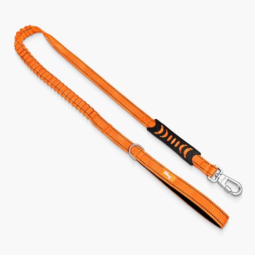 Dog Friendly Co. Bungee Dog Leash | Strain Free & Shock Resistant for Control | Neoprene Padded Handle Heavy-Duty Carabiner Clip and D-Ring | Hi-Vis Orange Size Regular