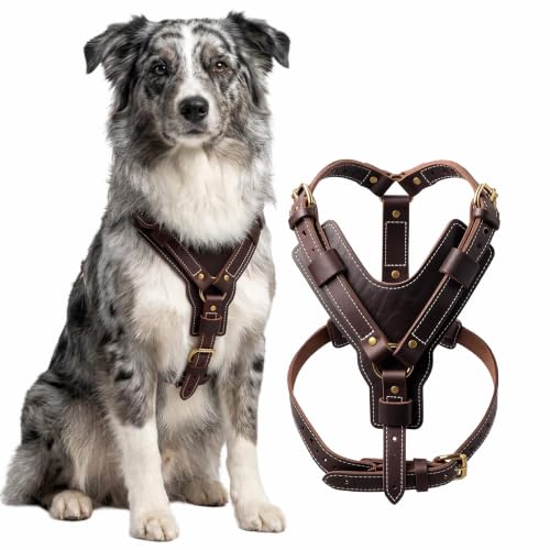 Leather Dog Harness Soft, Strong and Durable Doberman