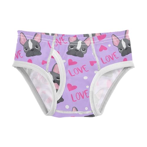 Cute French Bulldog Toddler Boy's Underwear 2T 202c1779