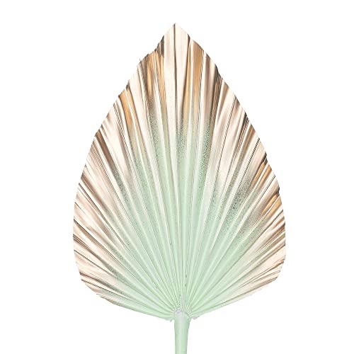 The Baked Studio - Dried Palm Leaf Leaves Palm Spear Cake Topper for Cake Decoration (Mint & Gold Ombre), 15cm x 18cm