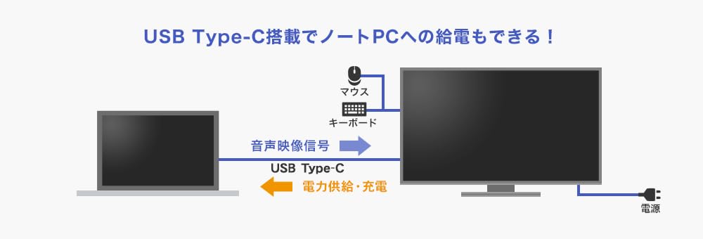 Amazon.co.jp: I-O DATA アイ・オー・データ 給電も可能なUSB Type-C
