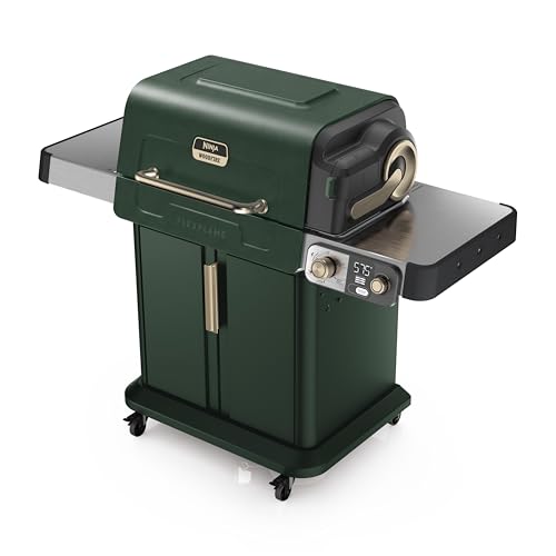 Ninja FlexFlame Grill and Smoker | Electric and Propane Grill,