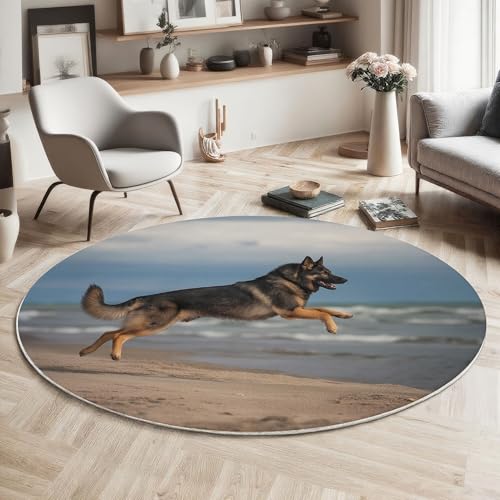 Tapis lavable en machine antidérapant et absorbant décor animaux 80cm