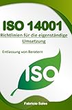 ISO 14001: Richtlinien für die eigenständige Umsetzung: Entlassung von Beratern