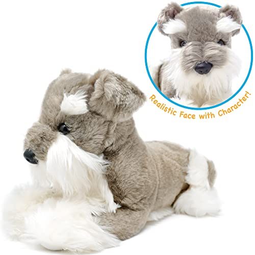 Juguetes Para Perro, Toy Imagen adicional