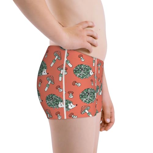 Boys' Cotton Boxer Brief Soft Underwear-Hedgehog Mushroom2