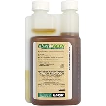 مركز Pyrethrum دائم الخضرة ، نصف لتر