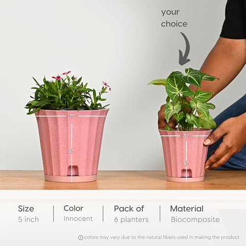 Image of Eha Earth Friendly Ace 5 inch Small Self Watering Pots for Indoor Plants | Set of 6 | Plant Pot Made with Bamboo Fibers | Table Top Planters for Home Decor, Flower Pot for Living Room | Innocent