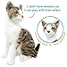 TigerHart Amy The American Shorthair Cat - 14 Inch Stuffed Animal Plush