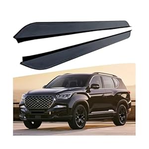 Ozbadclz SsangYong Rexton Trittbrett 2PCS