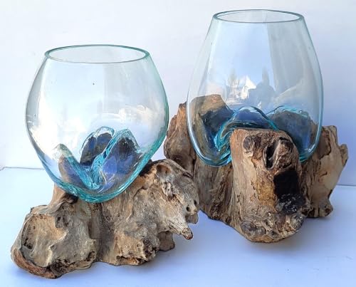 Lot de Deux vases ou Petit Aquarium en Verre soufflé sur Bois flotté. Hauteur Environ 20cm. Envoi aléatoire Car Chaque Vase est Unique. Livraison en Point...