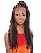 Afro Marley Braid (kanekalon) by Janet Collection-33 (auburn)