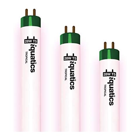 iQuatics Juwel Compatible Aquarium Fluorescent Light Bulb T5 1 Pack(3 Pieces), Tropical, 28w 590mm 24" Cover