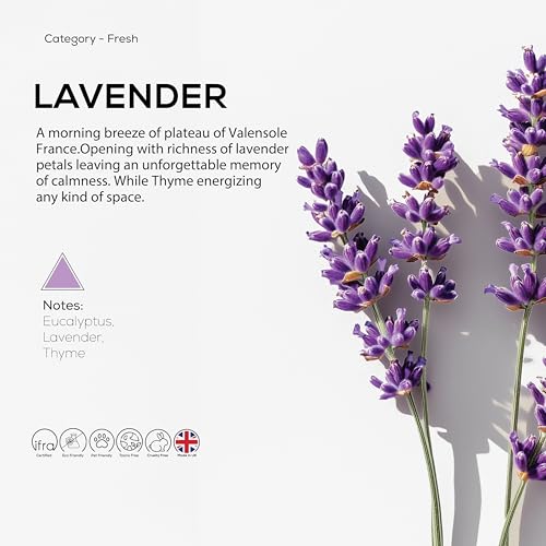Dr Scent Difusor Aroma Lavanda 170ml miniatura 2