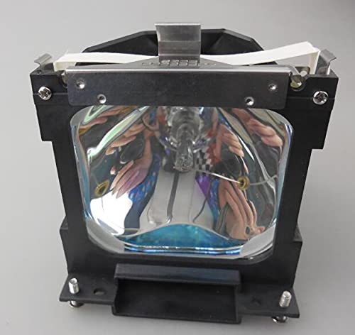 Lampe LV-LP16 idéale pour les présentations professionnelles sur Canon LV-5200